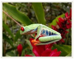 Slider image (2) MedTravel Costa Rica